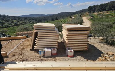 Construcción con paneles SIP en España: la solución eficiente y sostenible para tu futura casa modular